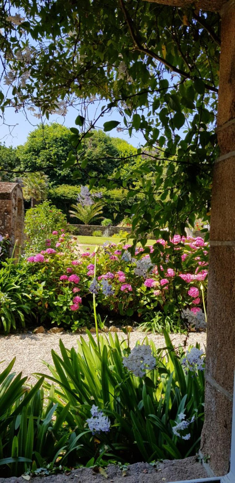 Gasthaus Manoir De Keringant Saint-Quay-Perros Exterior foto